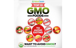 [LUẬN BÀN] HIỂM HOẠ TỪ GMO: THỰC TẾ BẠN CẦN BIẾT (Phần 1)