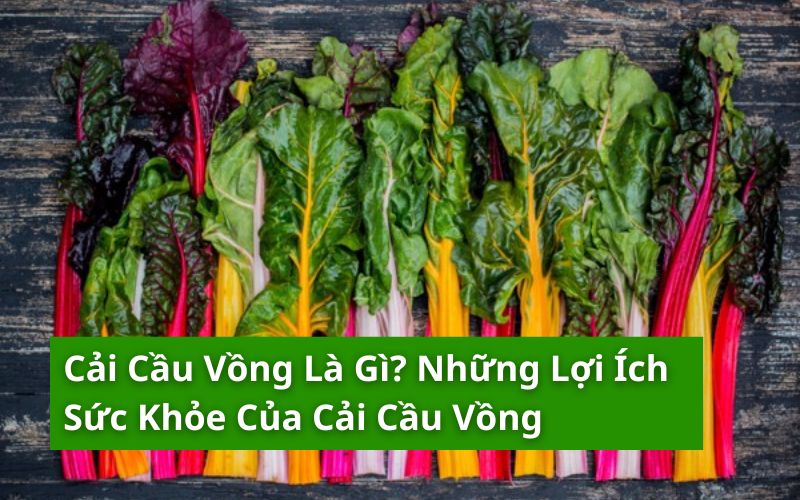 cải cầu vồng là gì