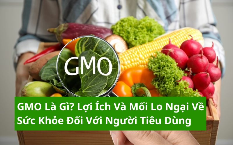 gmo là gì