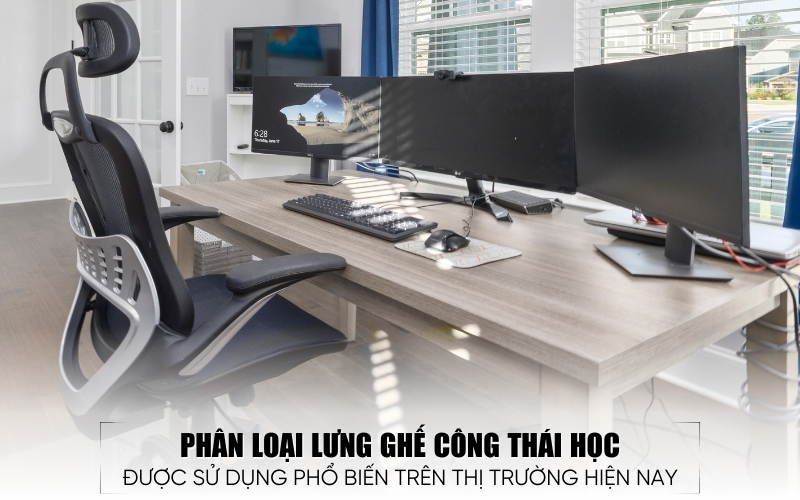 phân loại lưng ghế công thái học