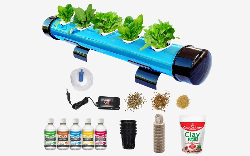 Chuẩn bị trước khi trồng rau thủy canh