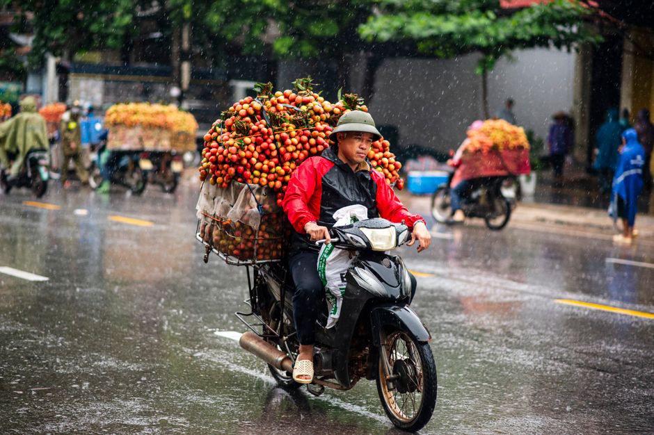Kết luận: AI là công cụ hỗ trợ, không thay thế sự am hiểu nông sản Kết luận: AI là công cụ hỗ trợ, không thay thế sự am hiểu nông sản