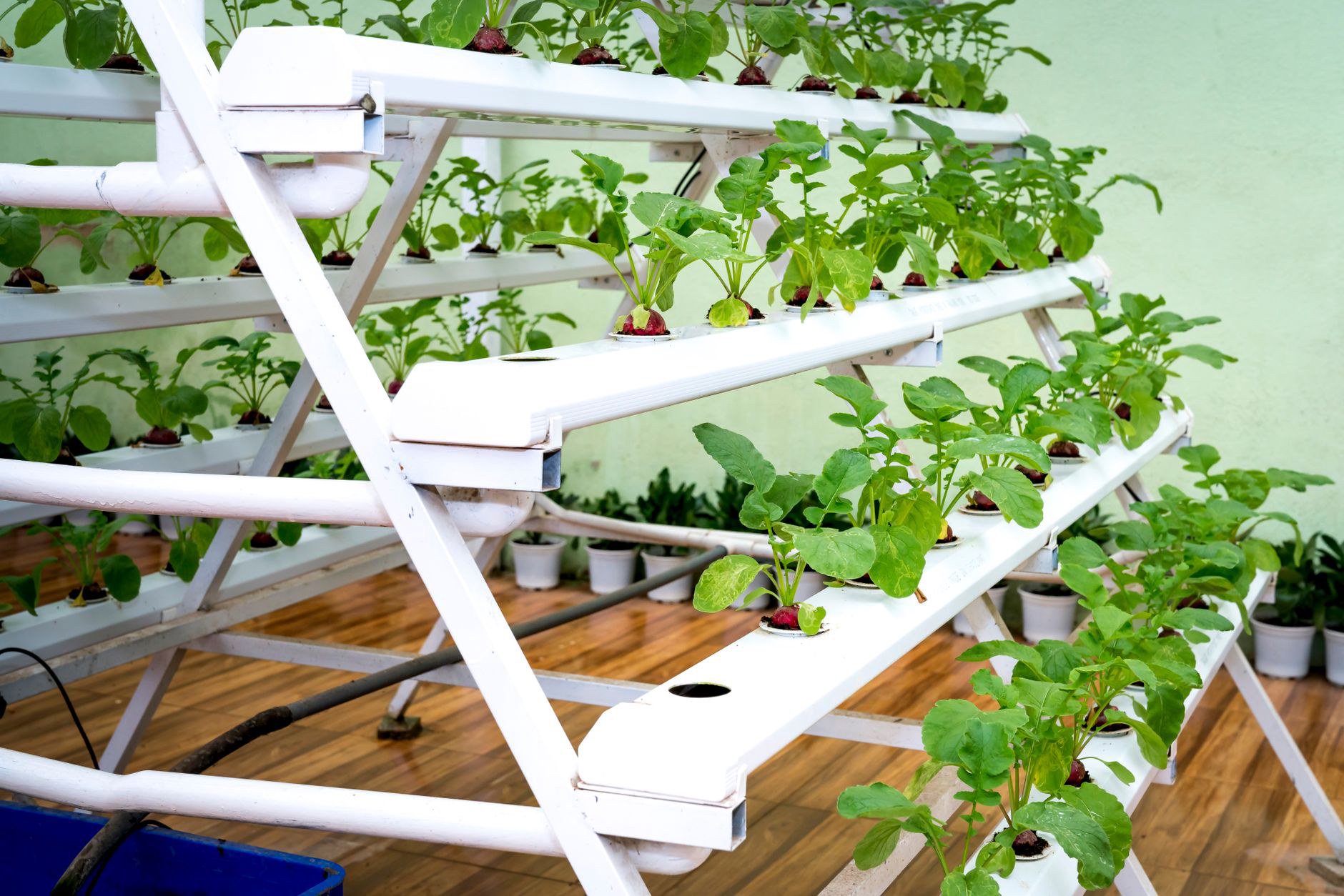 Vườn thẳng đứng bền chắc giúp không gian sống xanh mát, an toàn hơn