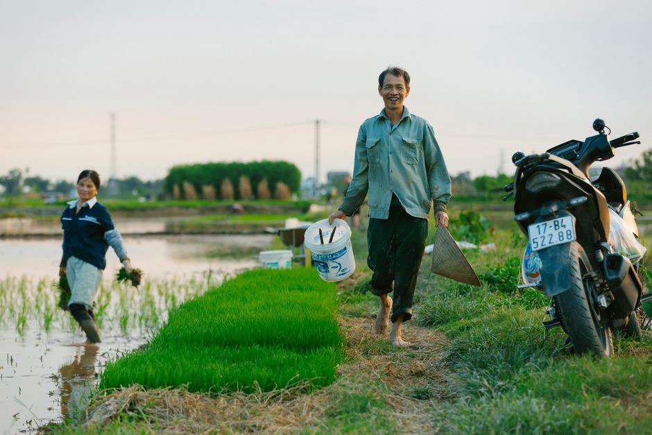 Những công việc lặp lại đang ngốn thời gian của nông dân và chủ trang trại