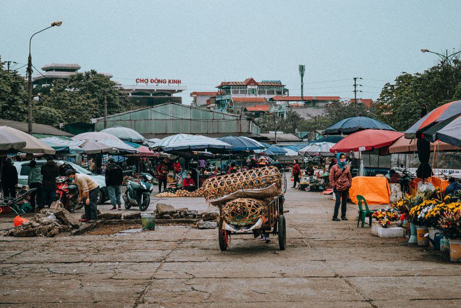 Vì sao marketing nông sản cần bám theo mùa vụ và hành vi tìm kiếm Vì sao marketing nông sản cần bám theo mùa vụ và hành vi tìm kiếm